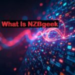 NZBGeek – A Complete Guide to the Usenet Indexer